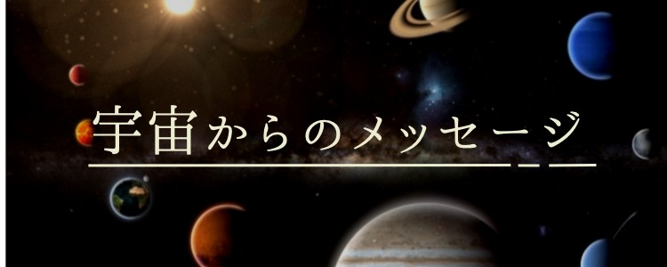 cook 今日なに作ろ？